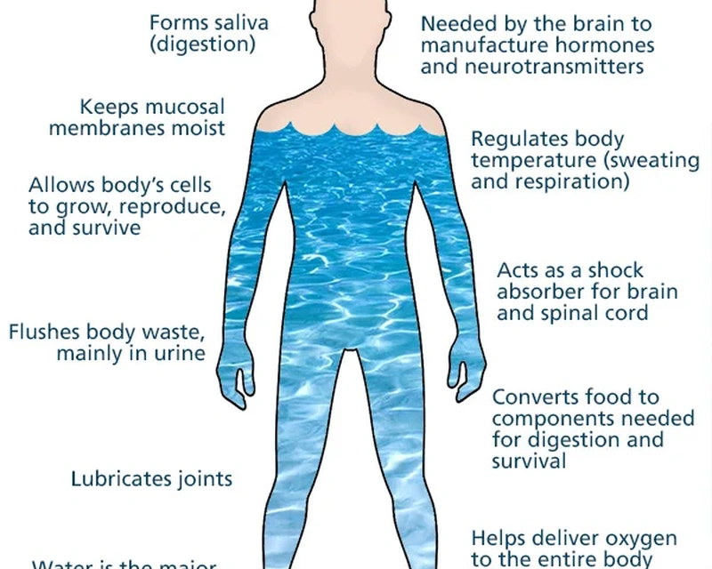 REASONS WHY WATER IS IMPORTANT TO HUMAN BODY REASONS WHY WATER IS IMPORTANT TO HUMAN BODY